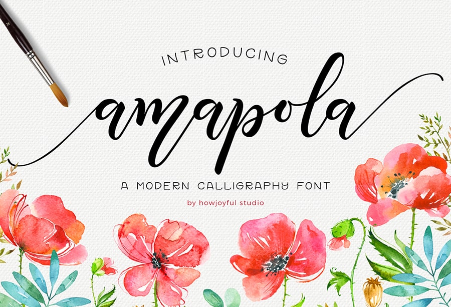 Amapola cover picture