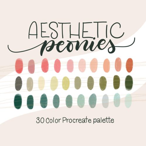 Aesthetic Peonies